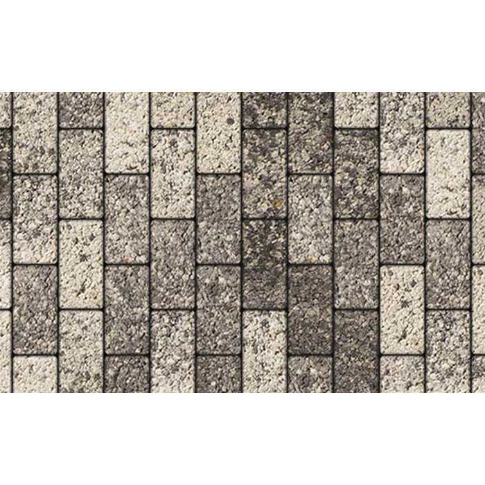 Плитка тротуарная Прямоугольник (Ла-Линия) А.2.П.4 Листопад гранит Антрацит 200x100x40 мм